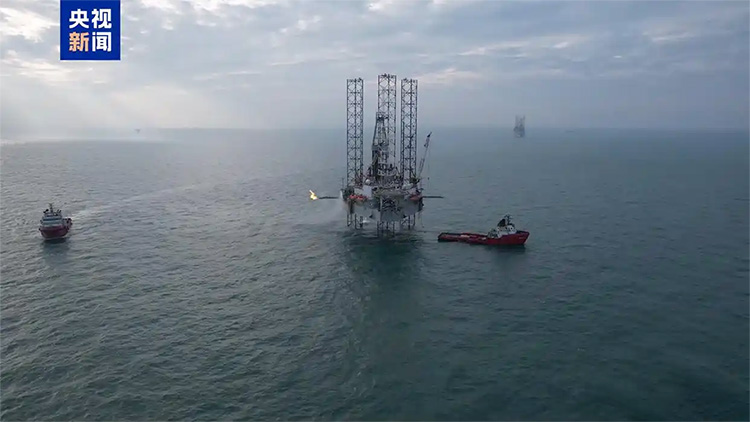 1741228734270829.jpg 5.jpg