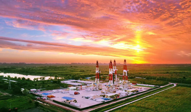 1742783480550573.jpg 20250324_102948_000.jpg